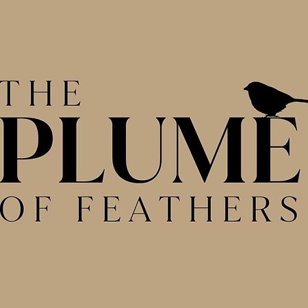 The Plume Of Feathers Farnham (Surrey) Exterior foto
